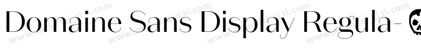 Domaine Sans Display Regula字体转换